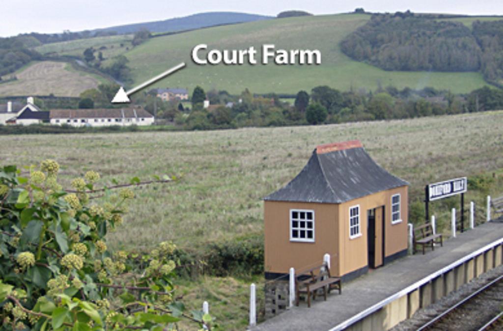 Court Farm Holiday Bungalows Ltd ووتشيت المظهر الخارجي الصورة